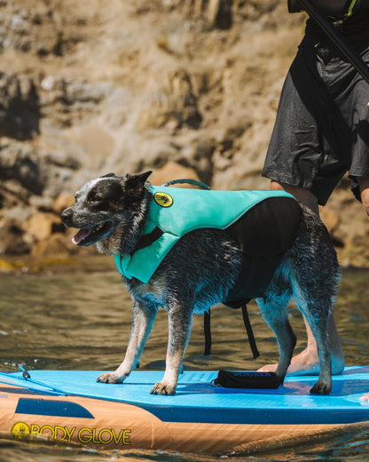 Neoprene Pet Life Jacket - Teal