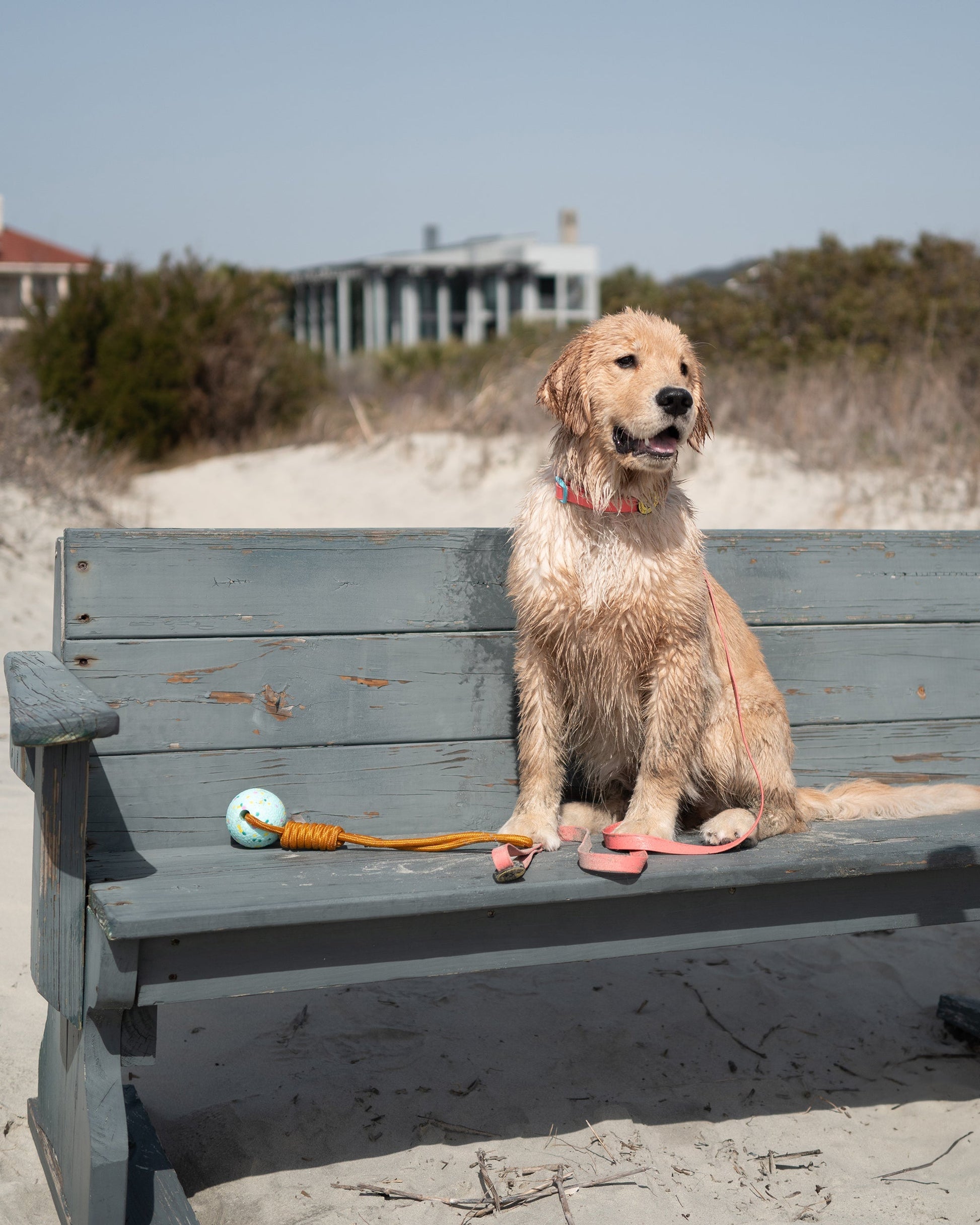 Tough Tug Toy  - Teal Confetti