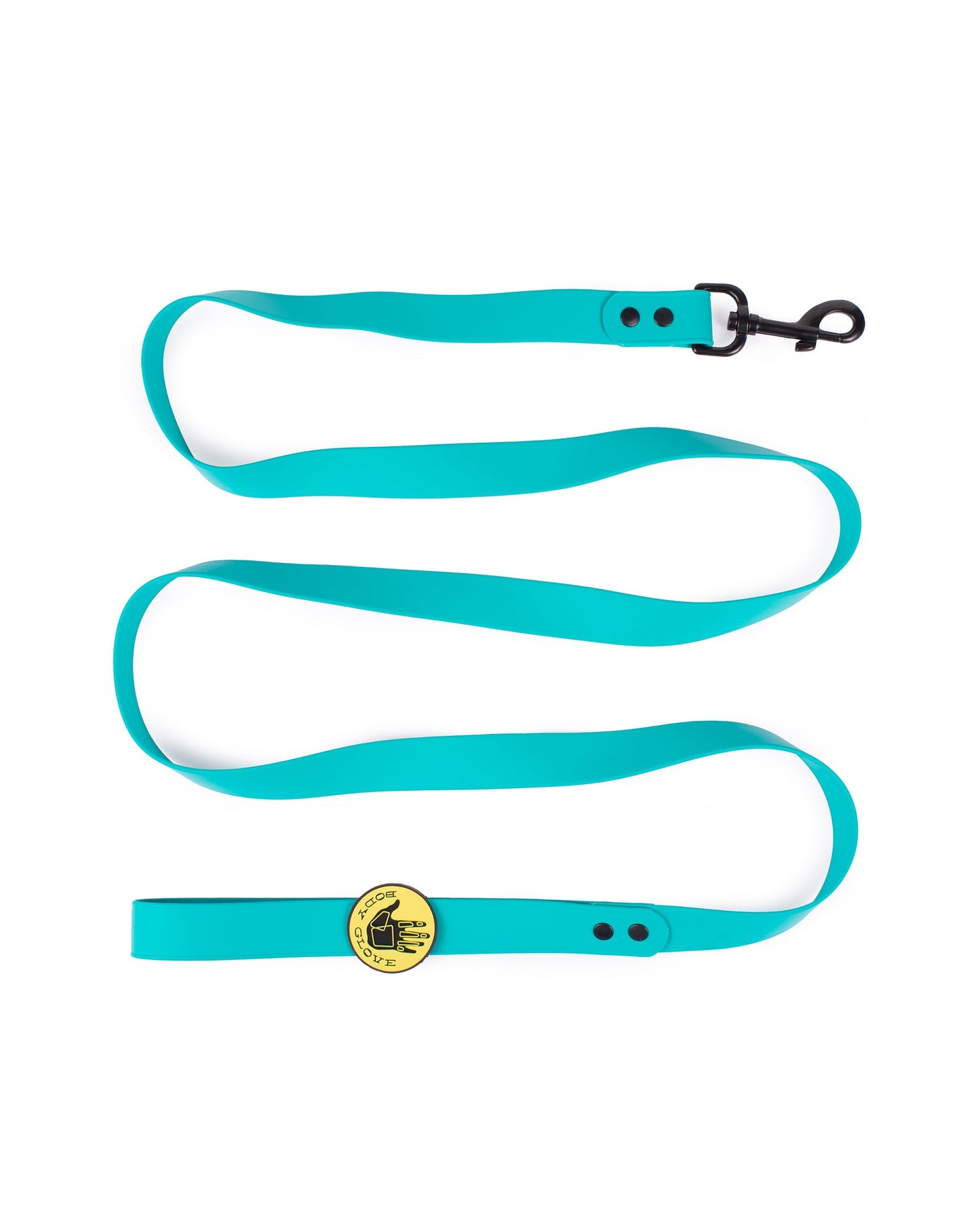 Waterproof Leash - Teal